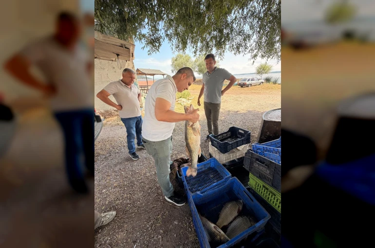 Beyşehir Gölü'nde avlanan balıklar tek tek kontrol edildi