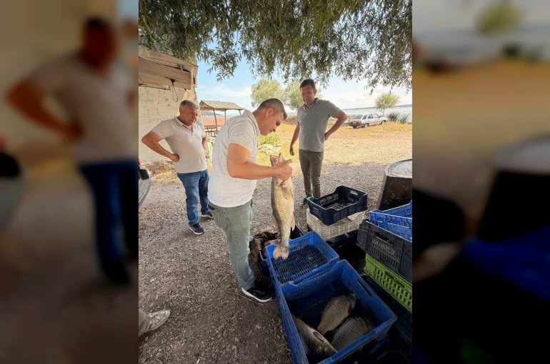 Beyşehir Gölü’nde avlanan balıklar tek tek kontrol edildi