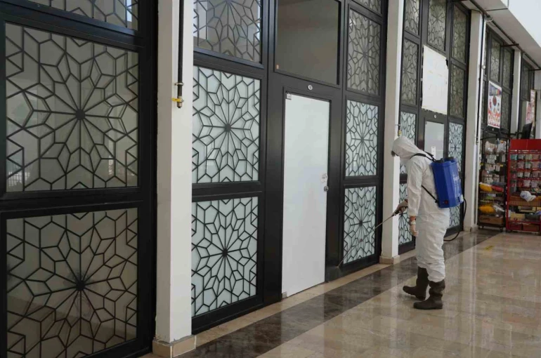 Bilecik Belediyesi’nden çekirgelere karşı erken önlem