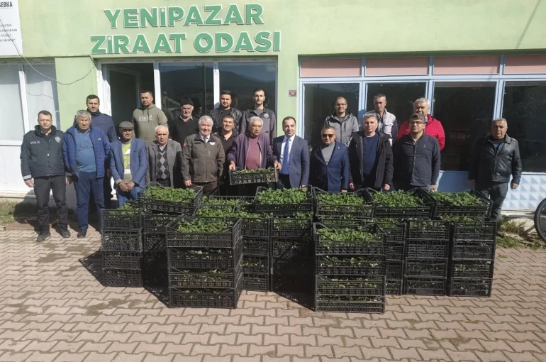 Bilecik’te 8 bin çilek fidesi üreticiyle buluştu