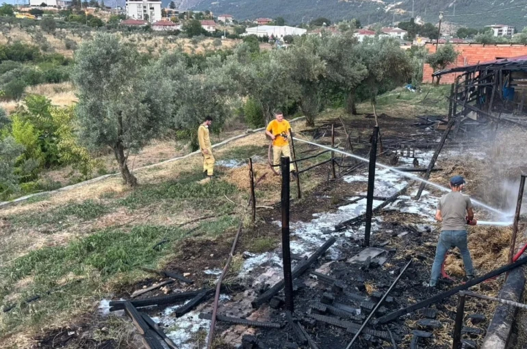 Bilecik’te bir ahır çıkan yangında kül oldu 