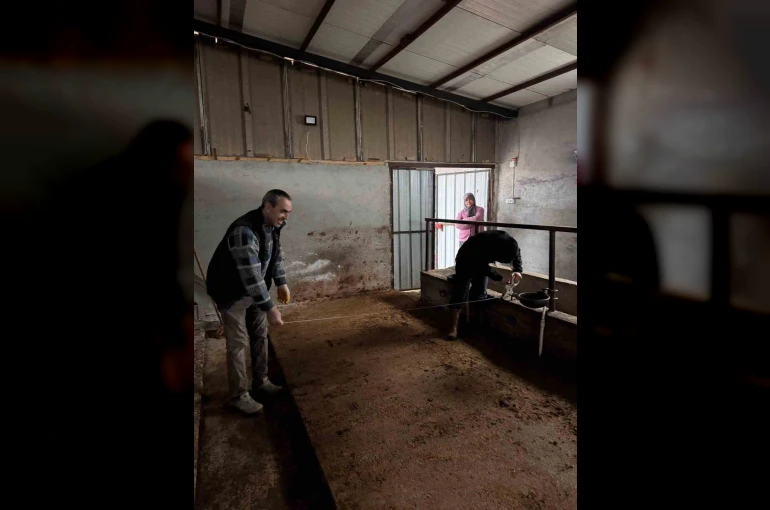 Bilecik’te büyükbaş hayvancılık işletmelerinde kapasite kontrolleri