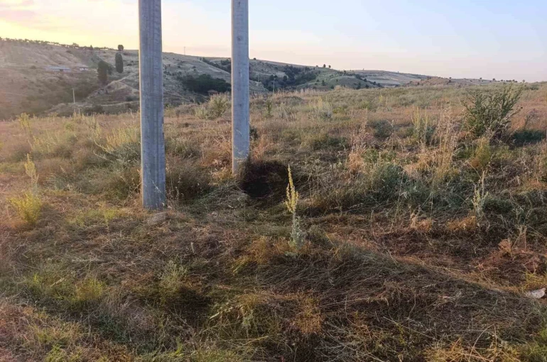 Bilecik’te elektrik akımına kapılan kuş yangına sebep oldu