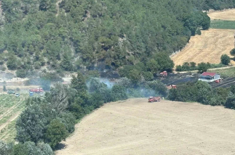 Bilecik’te ormanlık alanda yangın çıktı