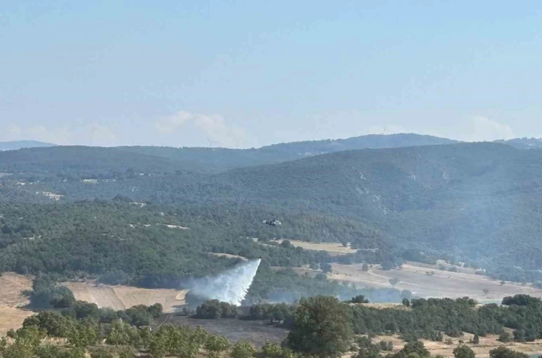 Bilecik’te ormanlık alandaki yangın kontrol altına alındı