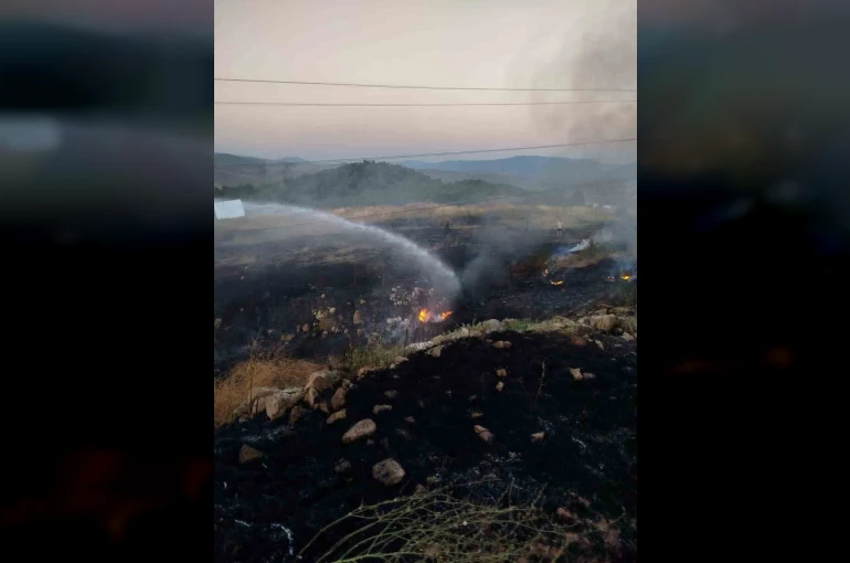 Bilecik’te otluk alanda çıkan yangın paniğe neden oldu