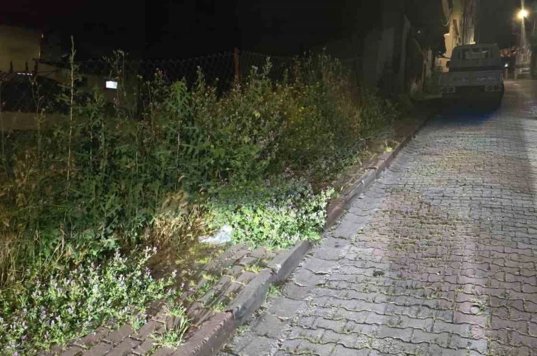 Bilecik’te vatandaşlar otlardan kaldırımda yürüyemiyor