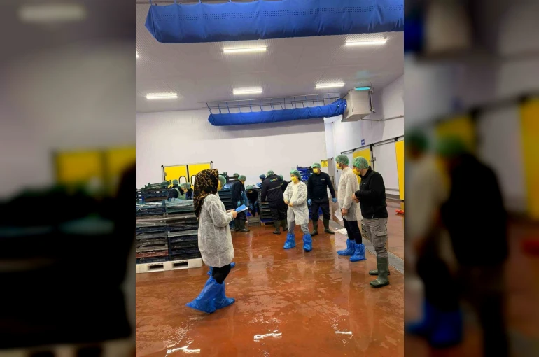 Bingöl’de balık işleme tesisleri denetlendi