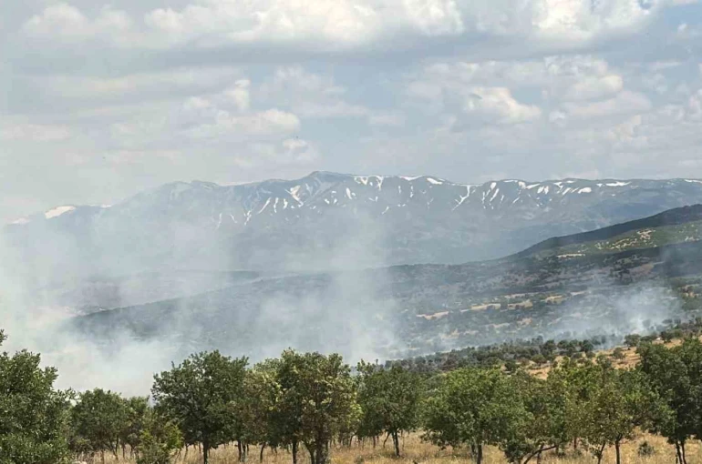 Bingöl’de çıkan orman yangını büyümeden kontrol altına alındı