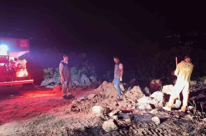 Bingöl’de çıkan orman yangınları kontrol altına alındı