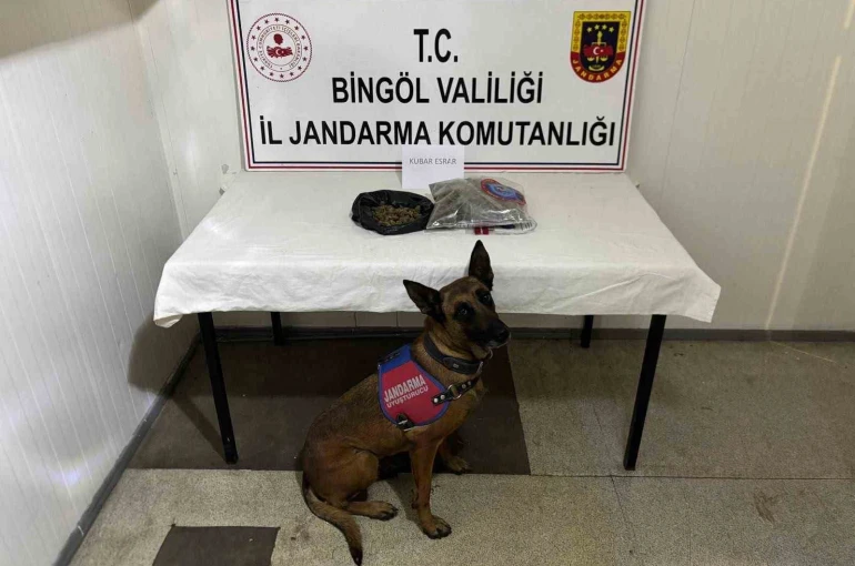 Bingöl’de haklarında kesinleşmiş hapis cezası bulunan 4 zanlı tutuklandı