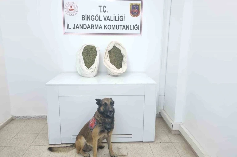 Bingöl’de jandarma ekipleri 10 kiloya yakın esrar ele geçirdi