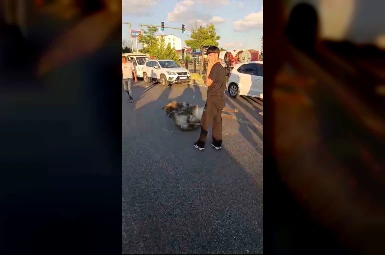 Bingöl’de otomobilin çarptığı eşek telef oldu