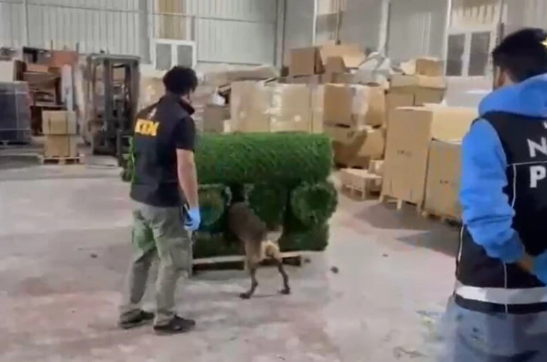 Binlerce uyuşturucu hapı yapay çimin içerisine sakladılar