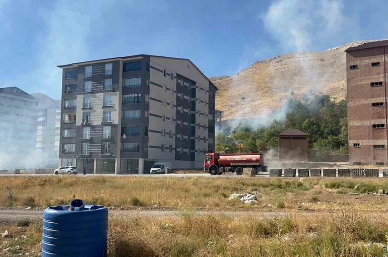 Bitlis’te çıkan yangın ağaçlara zarar verdi