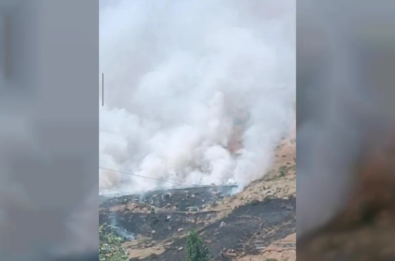 Bitlis’te dağlık alanda yangın: Binlerce arı telef oldu
