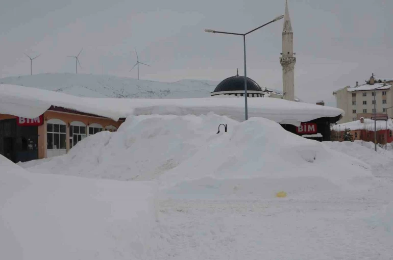 Bitlis’te kış şartları ağırlaşıyor, 124 köy yolu kapandı