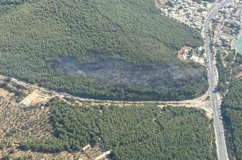 Bodrum orman yangını kontrol altına alındı