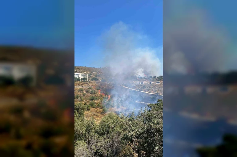Bodrum’da makilik yangını