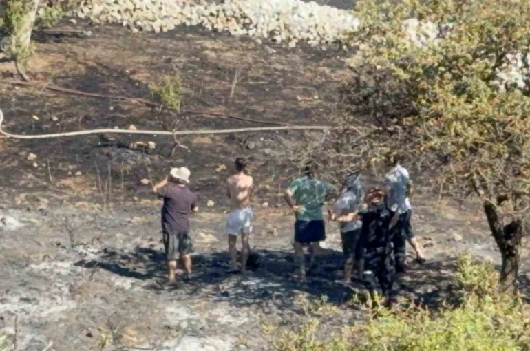 Bodrum’da makilik yangını kontrol altına alındı
