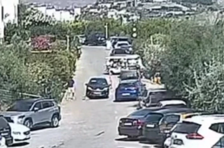 Bodrum’daki köpek davasında sanık beraat etti