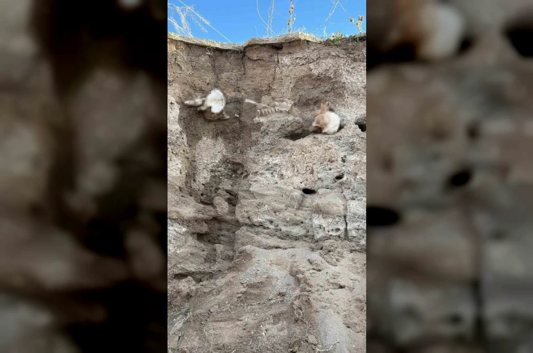 Boğazlıyan’da bulunan insan kemikleri incelemeye alındı