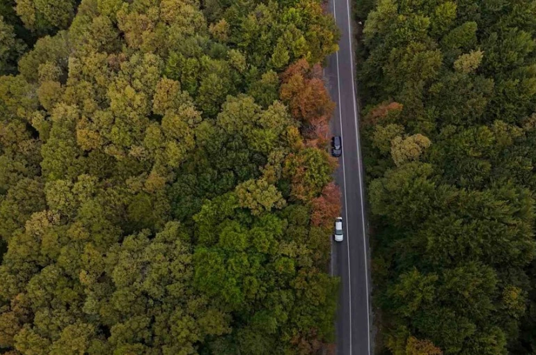 Bolu-Seben yolunda muhteşem sonbahar güzelliği