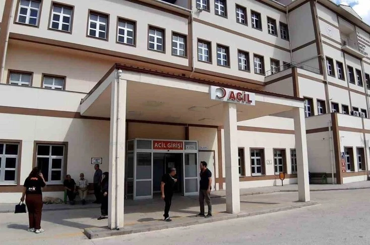 Bolu’da ayı saldırısında 1 kişi yaralandı: Saldırı sonrası av kararı