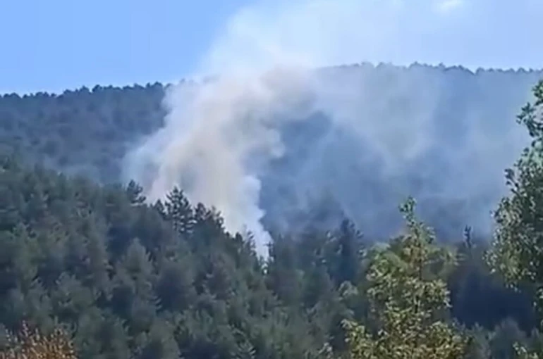 Bolu’da çıkan orman yangını kısa sürede söndürüldü