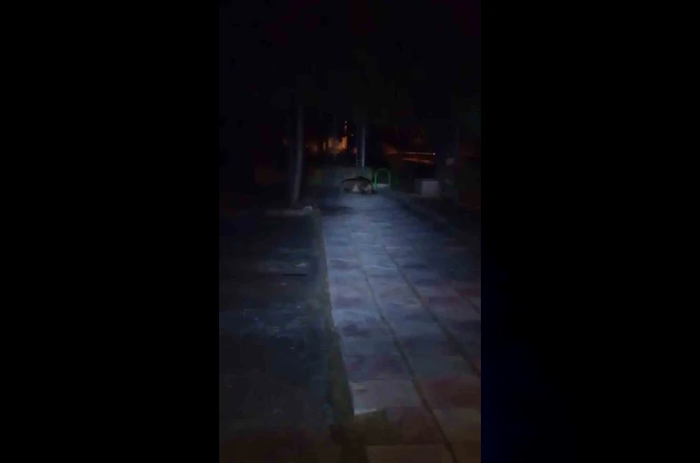Bolu’da çocuk parkına ayı girdi 