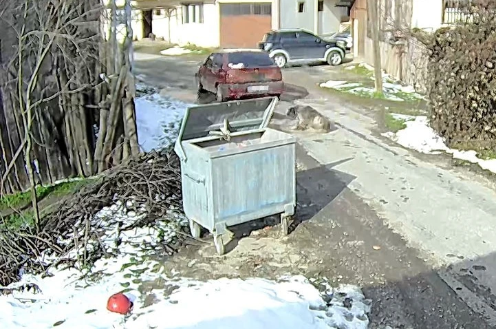 Bolu’da ezilen köpeğin röntgeninden 400 saçma çıktı: