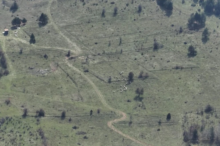 Bolu’da kayıp hayvanlar dronla bulundu