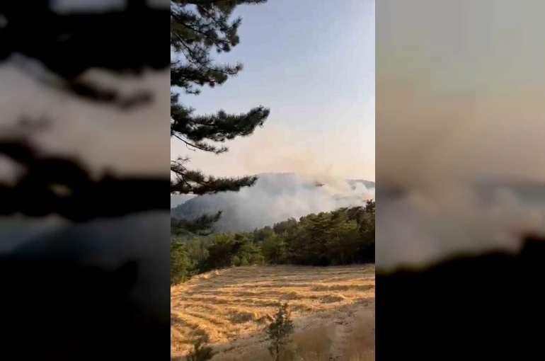 Bolu’da orman yangını
