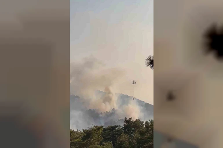 Bolu’daki orman yangını kontrol altına alındı