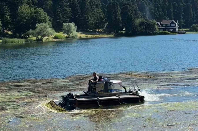 Bolu’nun doğa harikası Gölcük Tabiat Parkı’nın göl yüzeyi temizleniyor