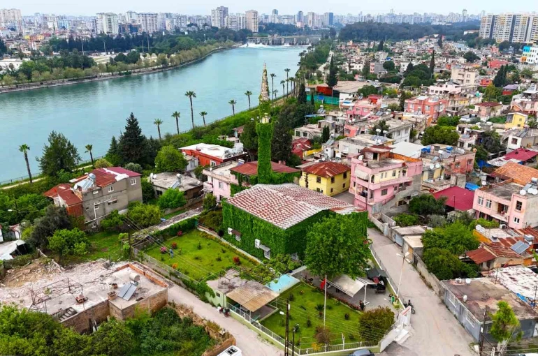 Botanik bahçeyi andıran cami, yeniden sarmaşıklarına kavuştu