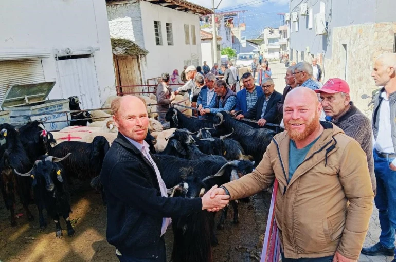 Bozdoğan Yazıkent’te Kurban Pazarı hareketlendi