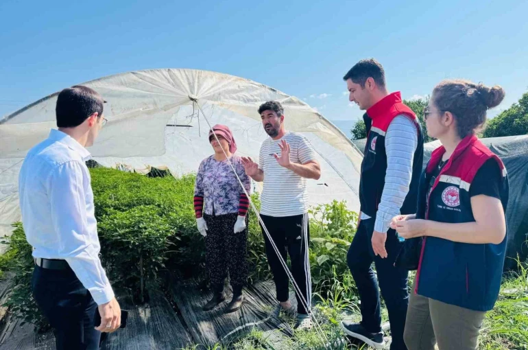 Bozdoğan’da tarımsal üretim sahada değerlendirildi