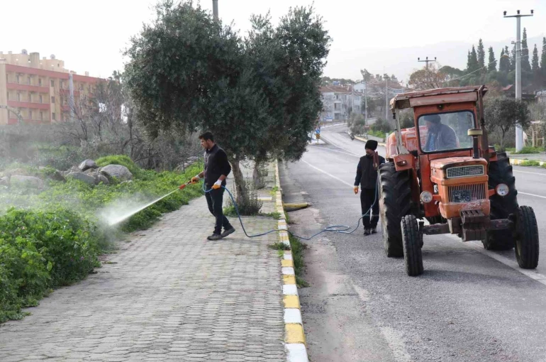 Bozdoğan’da yabani ot mücadelesi