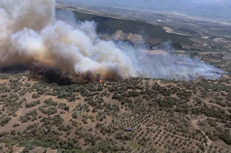 Bozdoğan’da ziraat alanında yangın çıktı