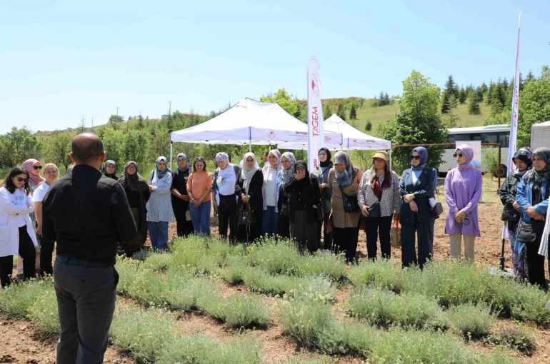 Bozkırların altın çiçeğinde hasat sevinci