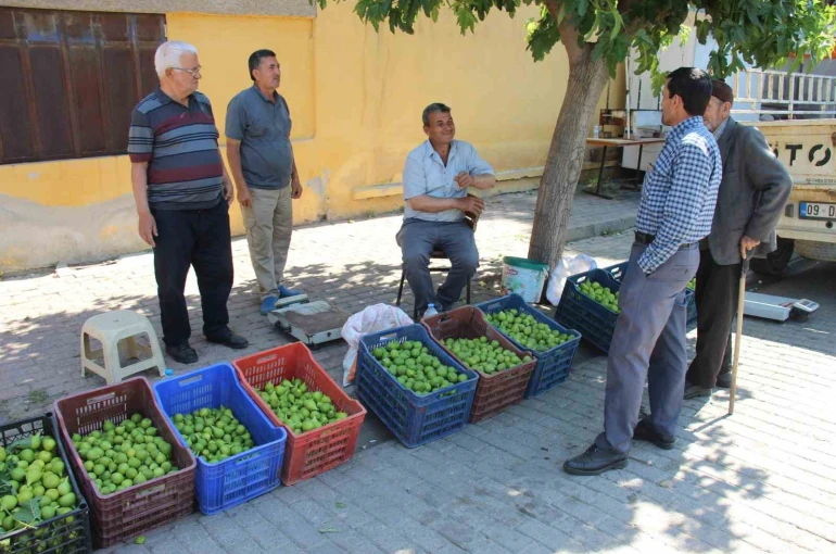 Bu pazarda meyve değil sinek satılıyor