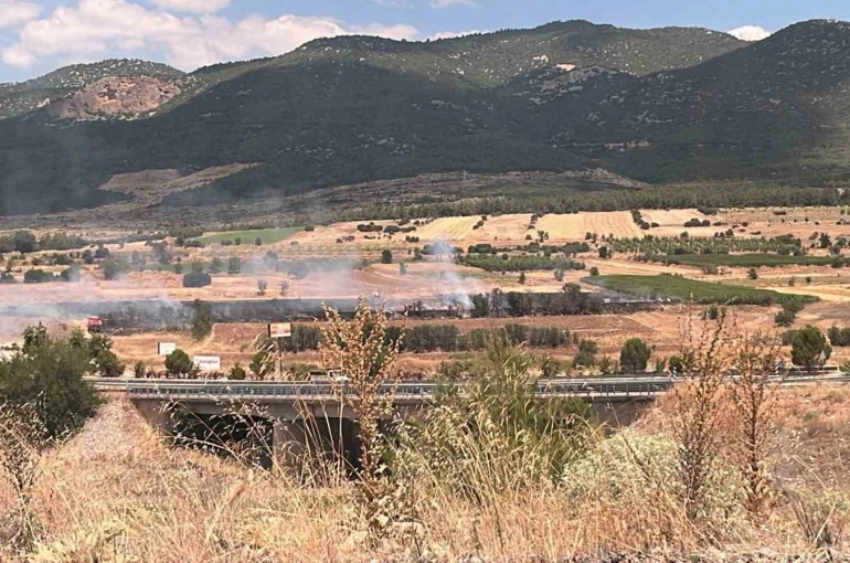 Burdur’da 20 dönümlük otluk alanda yangın