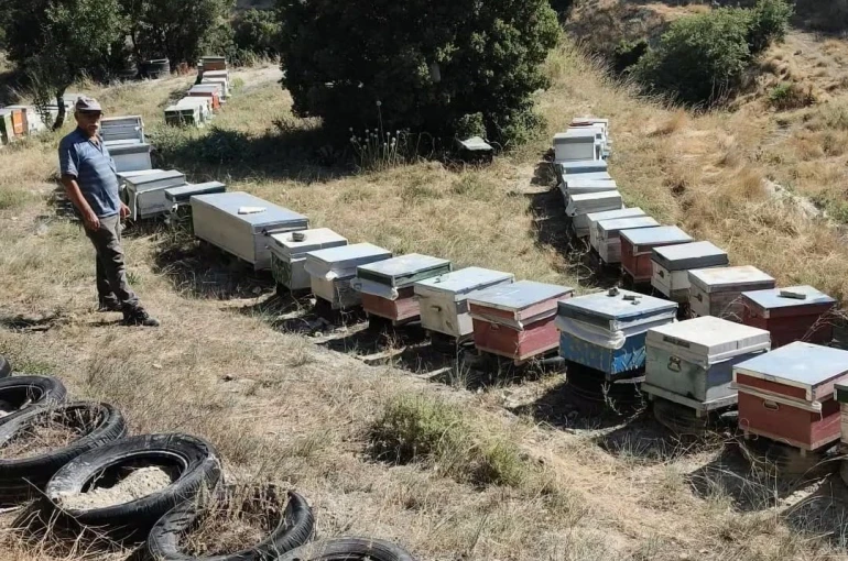 Burdur’da arılı kovanlar denetleniyor