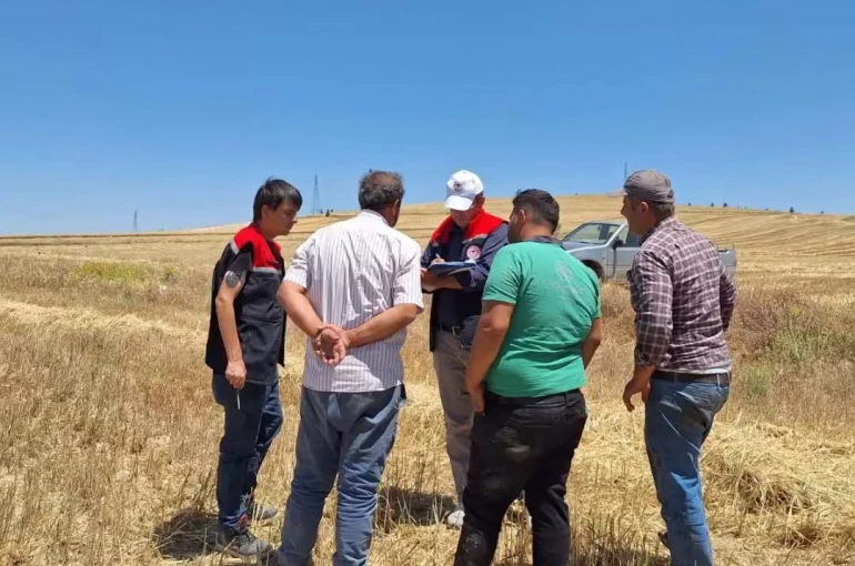 Burdur’da biçerdöverler denetleniyor 