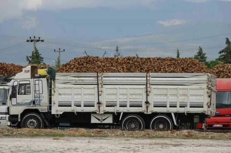 Burdur’da yaklaşık 700 bin ton şeker pancarı işlenecek