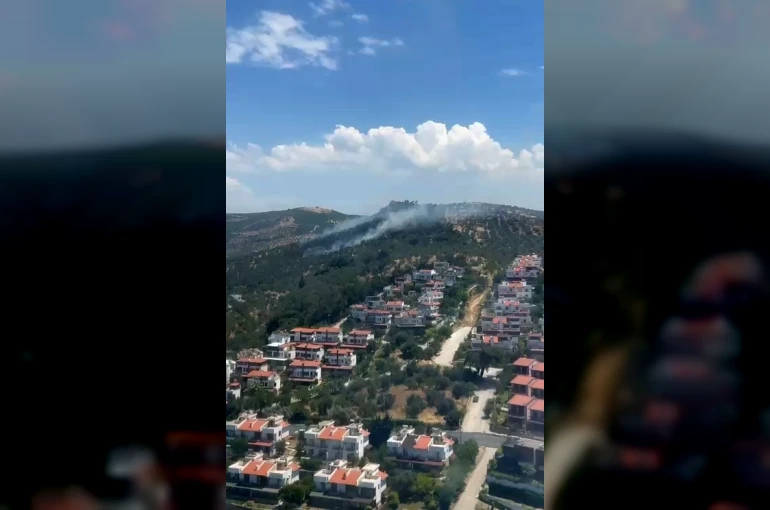 Burhaniye’deki zeytinlik yangını kontrol altına alındı