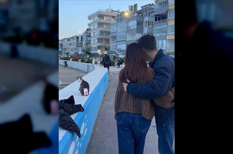 Bursa sahilinde ilginç fotoğraf çözümü: Tripod yerine kedi kullandılar