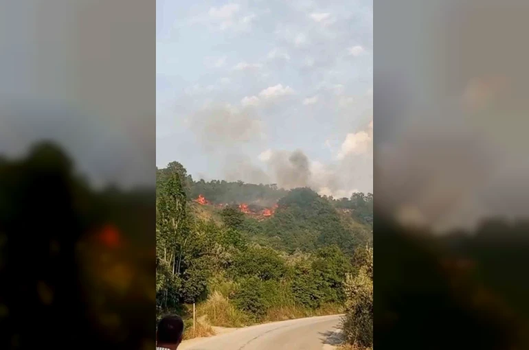 Bursa’da makilik alanda yangın