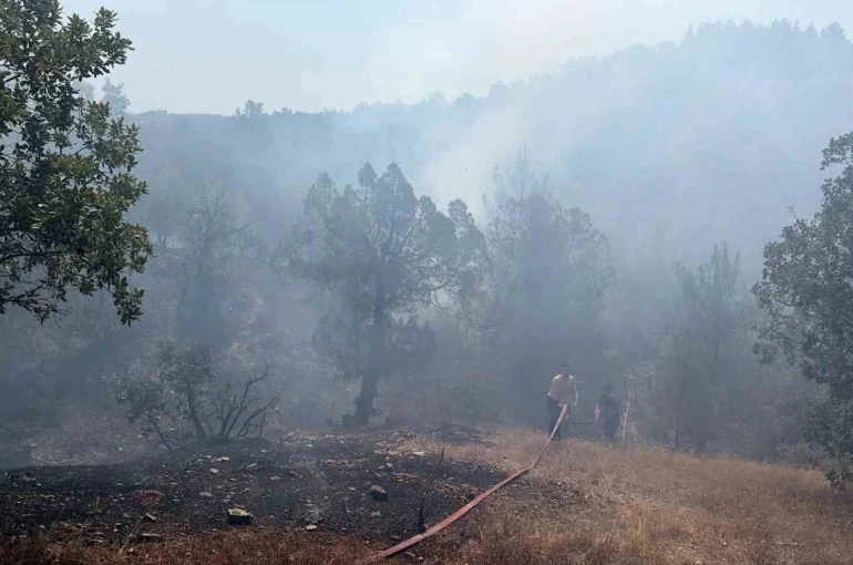 Bursa’da orman yangınına havadan ve karadan müdahale